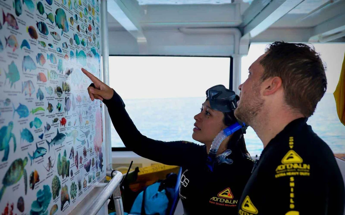 Ein Briefing an Deck eines Riffboots auf dem Weg von Cairns hinaus