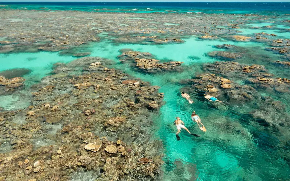 Una barca da barriera ormeggiata sopra i giardini di corallo sulla Great Barrier Reef al largo di Cairns nel Queensland
