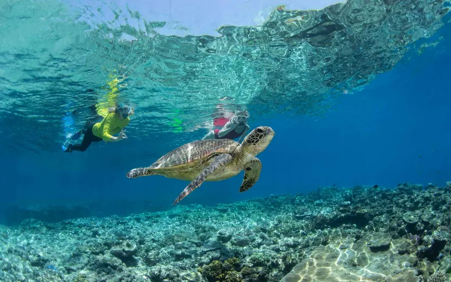 外洋リーフに停泊するカタマランと、その脇で水中にいるシュノーケラー